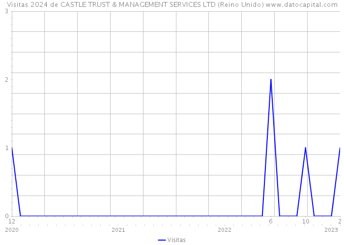 Visitas 2024 de CASTLE TRUST & MANAGEMENT SERVICES LTD (Reino Unido) 