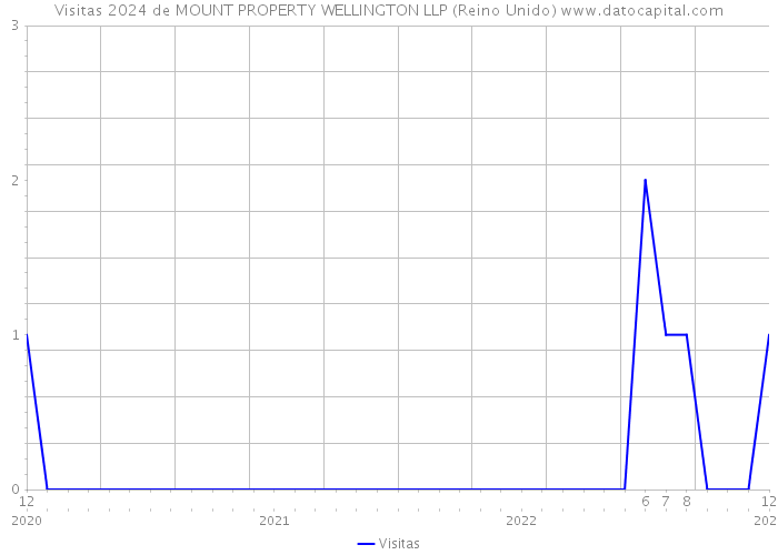 Visitas 2024 de MOUNT PROPERTY WELLINGTON LLP (Reino Unido) 