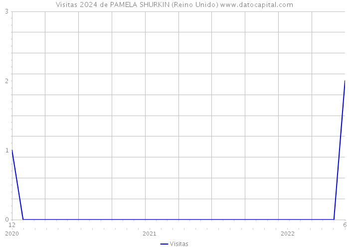 Visitas 2024 de PAMELA SHURKIN (Reino Unido) 