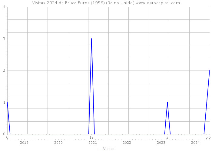 Visitas 2024 de Bruce Burns (1956) (Reino Unido) 