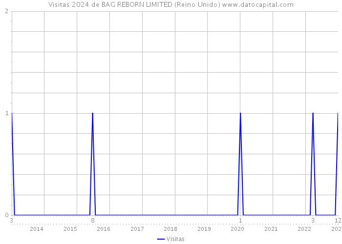 Visitas 2024 de BAG REBORN LIMITED (Reino Unido) 