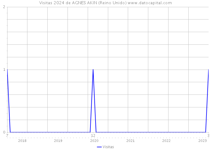 Visitas 2024 de AGNES AKIN (Reino Unido) 