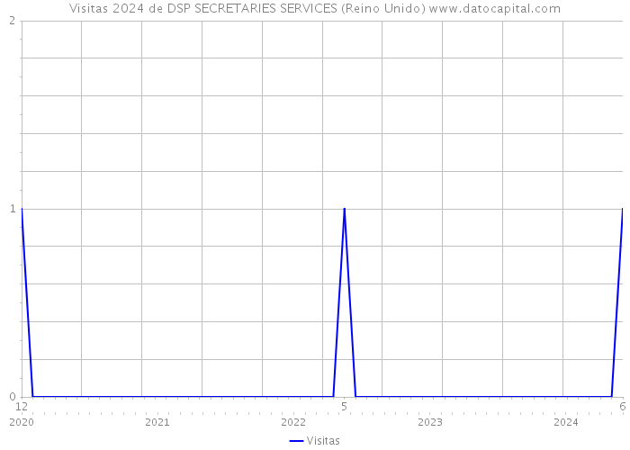 Visitas 2024 de DSP SECRETARIES SERVICES (Reino Unido) 