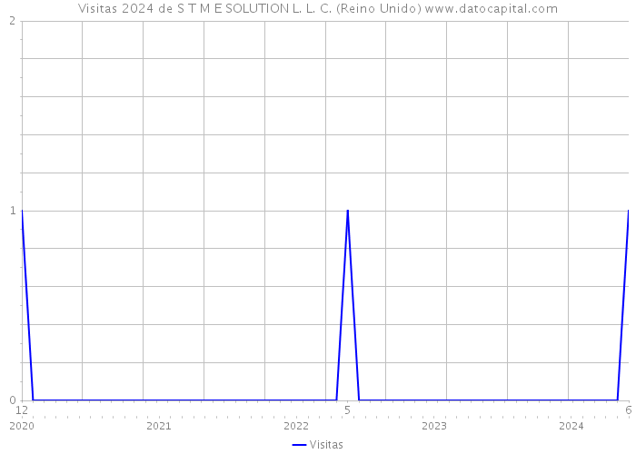 Visitas 2024 de S T M E SOLUTION L. L. C. (Reino Unido) 