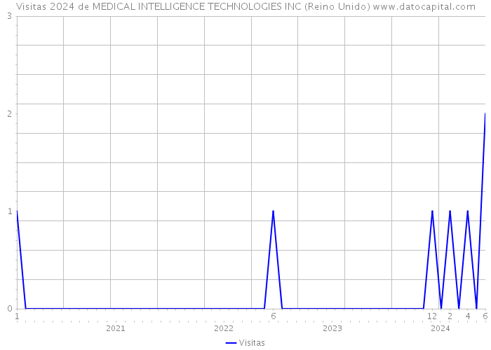 Visitas 2024 de MEDICAL INTELLIGENCE TECHNOLOGIES INC (Reino Unido) 