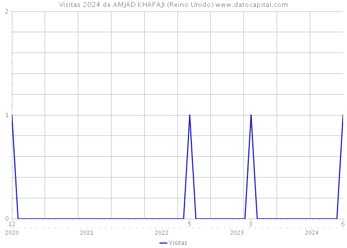 Visitas 2024 de AMJAD KHAFAJI (Reino Unido) 