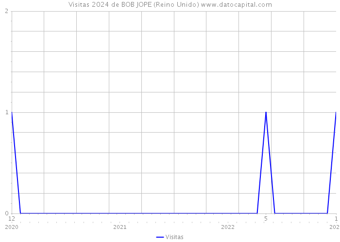 Visitas 2024 de BOB JOPE (Reino Unido) 