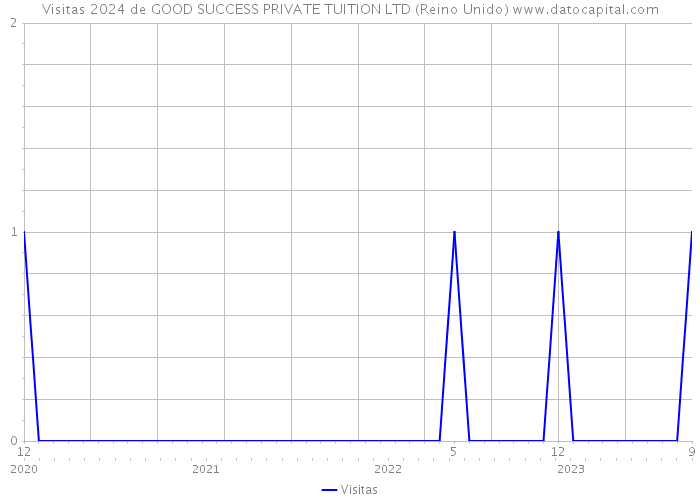 Visitas 2024 de GOOD SUCCESS PRIVATE TUITION LTD (Reino Unido) 