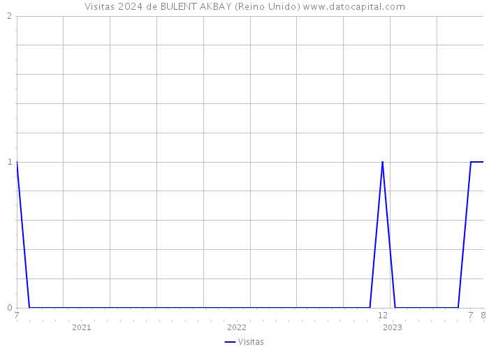 Visitas 2024 de BULENT AKBAY (Reino Unido) 