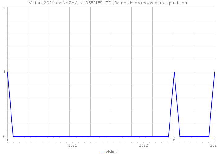 Visitas 2024 de NAZMA NURSERIES LTD (Reino Unido) 