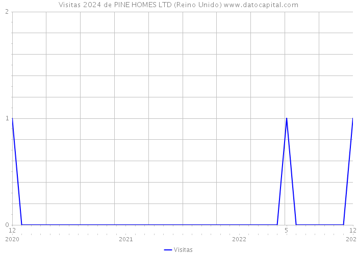 Visitas 2024 de PINE HOMES LTD (Reino Unido) 