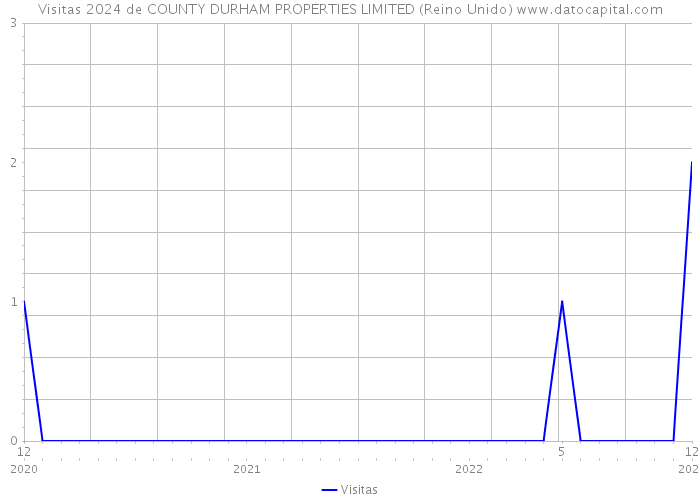 Visitas 2024 de COUNTY DURHAM PROPERTIES LIMITED (Reino Unido) 