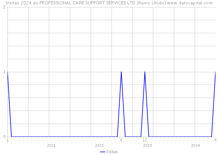 Visitas 2024 de PROFESSIONAL CARE SUPPORT SERVICES LTD (Reino Unido) 