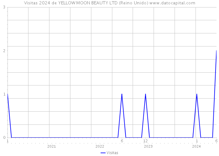 Visitas 2024 de YELLOW MOON BEAUTY LTD (Reino Unido) 