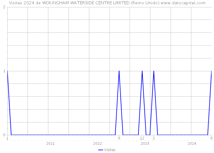 Visitas 2024 de WOKINGHAM WATERSIDE CENTRE LIMITED (Reino Unido) 