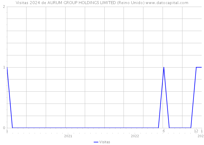 Visitas 2024 de AURUM GROUP HOLDINGS LIMITED (Reino Unido) 