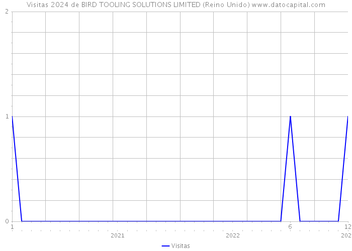 Visitas 2024 de BIRD TOOLING SOLUTIONS LIMITED (Reino Unido) 