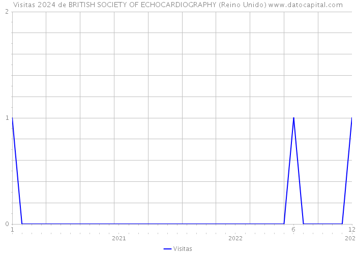 Visitas 2024 de BRITISH SOCIETY OF ECHOCARDIOGRAPHY (Reino Unido) 