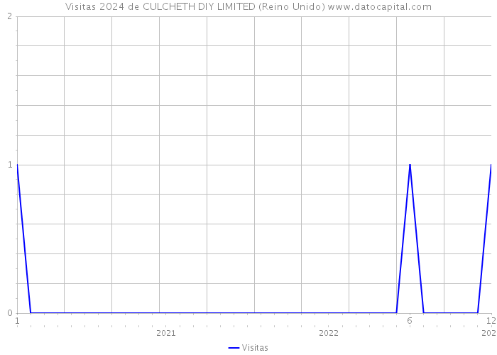 Visitas 2024 de CULCHETH DIY LIMITED (Reino Unido) 