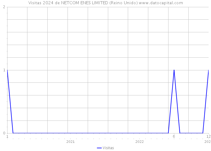 Visitas 2024 de NETCOM ENES LIMITED (Reino Unido) 