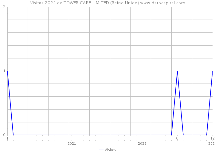 Visitas 2024 de TOWER CARE LIMITED (Reino Unido) 