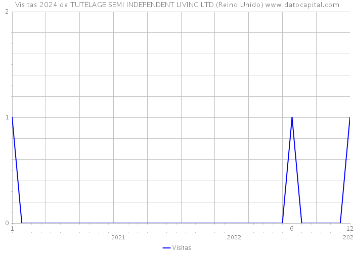 Visitas 2024 de TUTELAGE SEMI INDEPENDENT LIVING LTD (Reino Unido) 