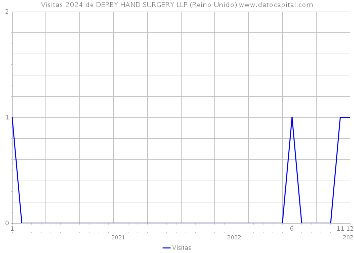 Visitas 2024 de DERBY HAND SURGERY LLP (Reino Unido) 