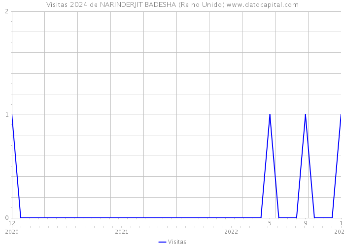 Visitas 2024 de NARINDERJIT BADESHA (Reino Unido) 