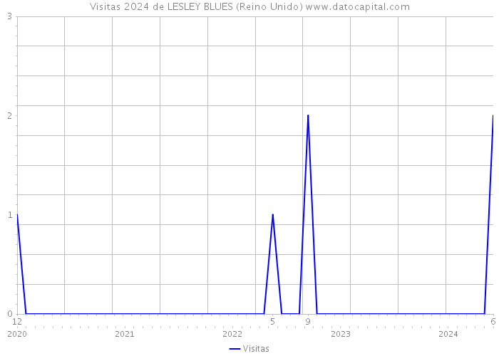 Visitas 2024 de LESLEY BLUES (Reino Unido) 