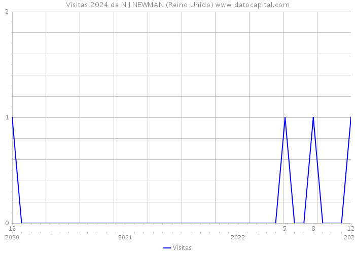 Visitas 2024 de N J NEWMAN (Reino Unido) 