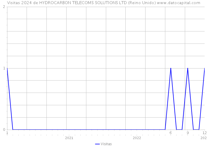 Visitas 2024 de HYDROCARBON TELECOMS SOLUTIONS LTD (Reino Unido) 