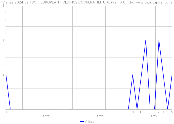 Visitas 2024 de TSO II EUROPEAN HOLDINGS COOPERATIEF U.A. (Reino Unido) 