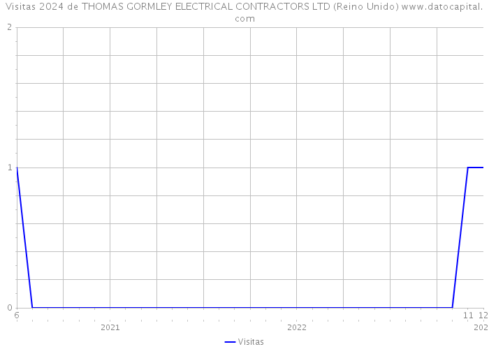 Visitas 2024 de THOMAS GORMLEY ELECTRICAL CONTRACTORS LTD (Reino Unido) 