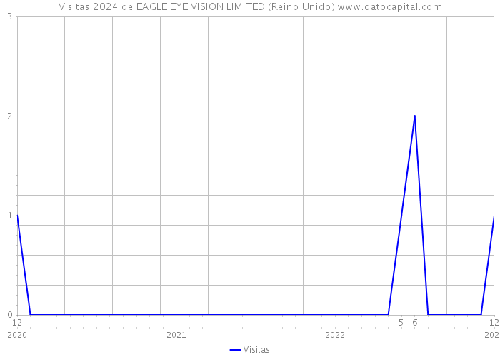 Visitas 2024 de EAGLE EYE VISION LIMITED (Reino Unido) 