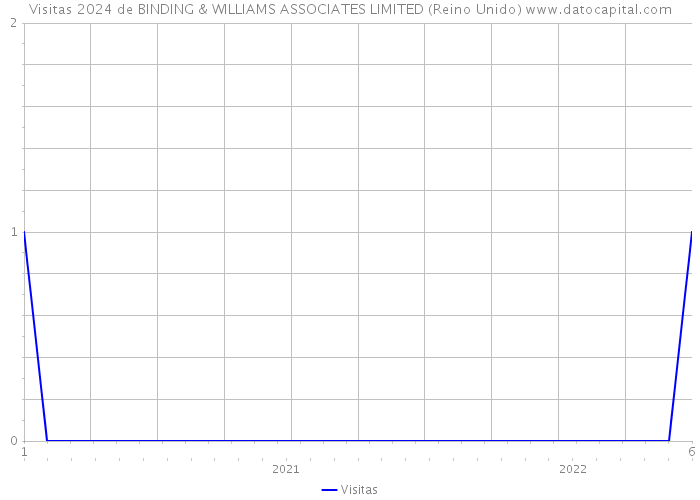Visitas 2024 de BINDING & WILLIAMS ASSOCIATES LIMITED (Reino Unido) 