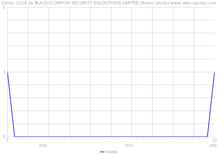 Visitas 2024 de BLACKSCORPION SECURITY SOLOUTIONS LIMITED (Reino Unido) 