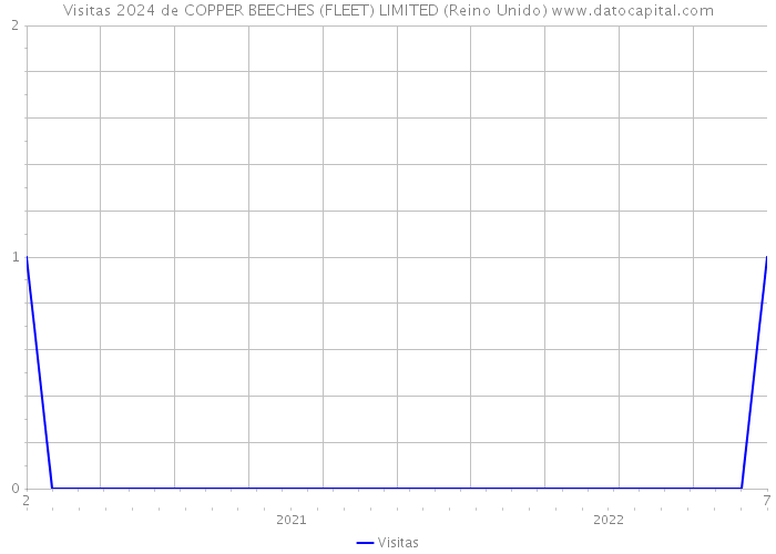 Visitas 2024 de COPPER BEECHES (FLEET) LIMITED (Reino Unido) 
