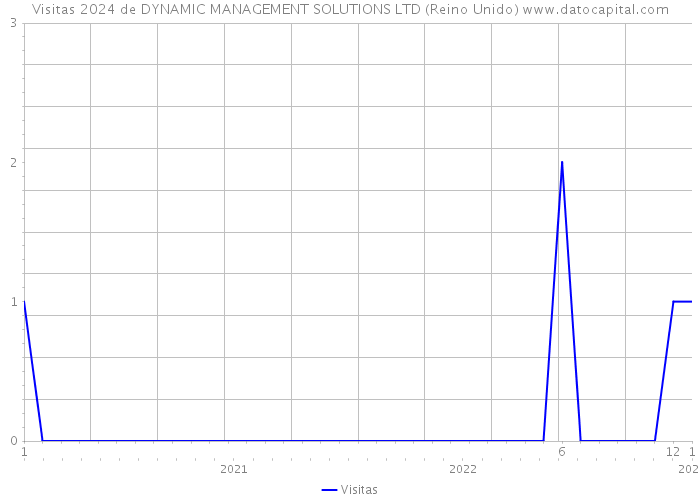 Visitas 2024 de DYNAMIC MANAGEMENT SOLUTIONS LTD (Reino Unido) 