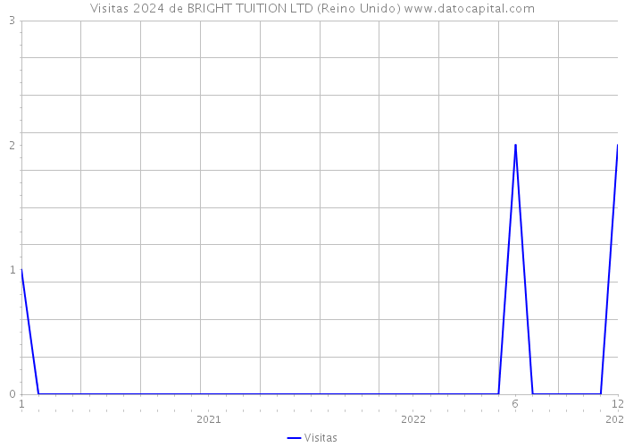 Visitas 2024 de BRIGHT TUITION LTD (Reino Unido) 