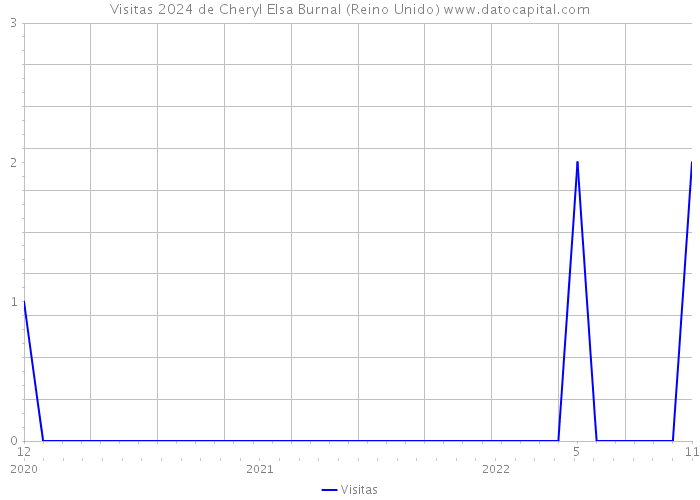 Visitas 2024 de Cheryl Elsa Burnal (Reino Unido) 