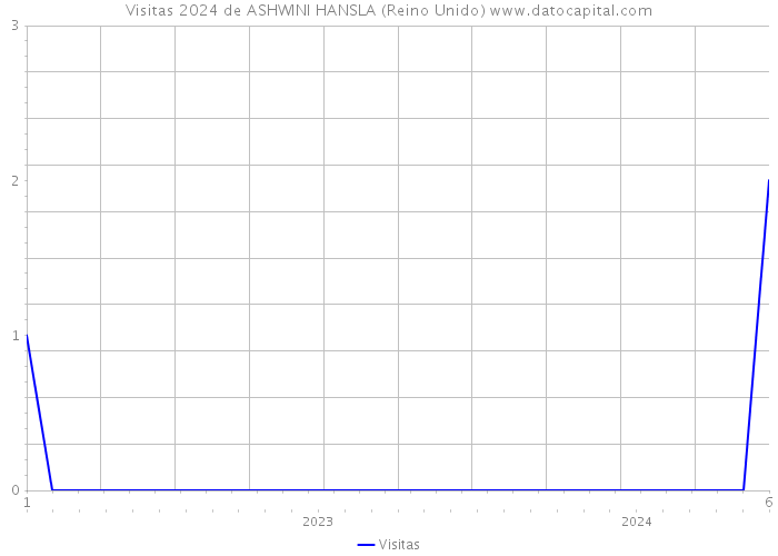 Visitas 2024 de ASHWINI HANSLA (Reino Unido) 