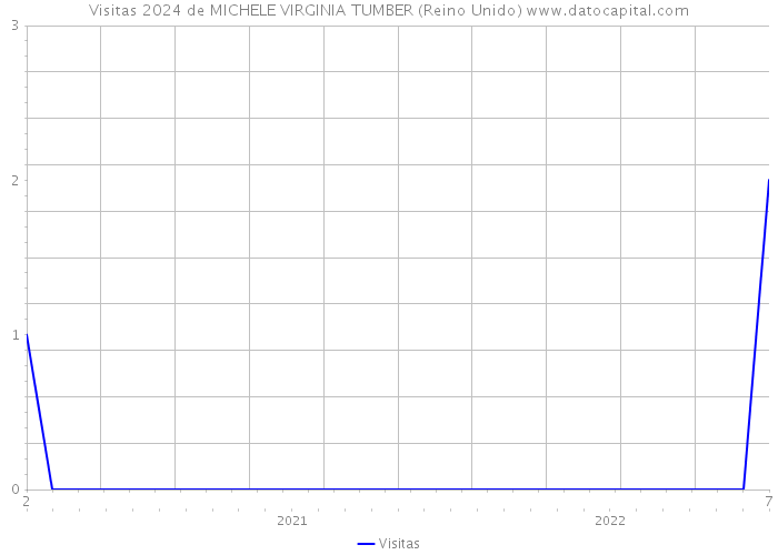 Visitas 2024 de MICHELE VIRGINIA TUMBER (Reino Unido) 