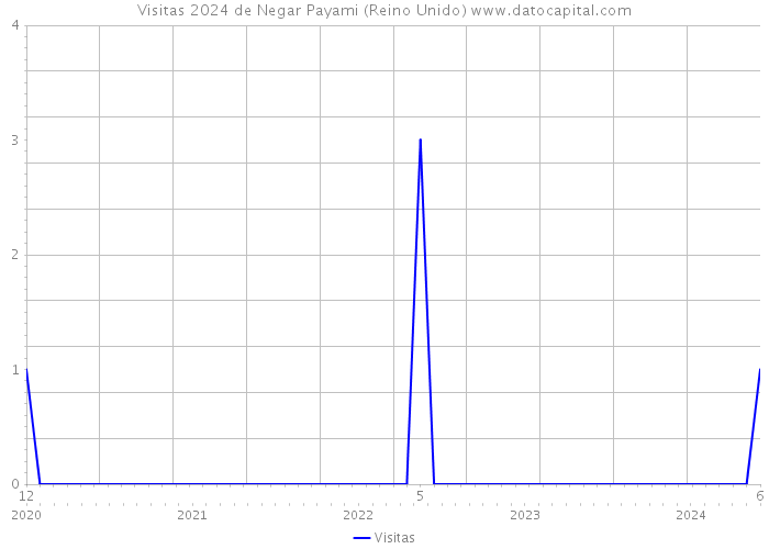 Visitas 2024 de Negar Payami (Reino Unido) 