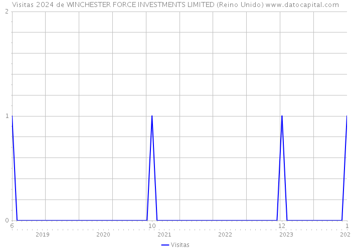 Visitas 2024 de WINCHESTER FORCE INVESTMENTS LIMITED (Reino Unido) 