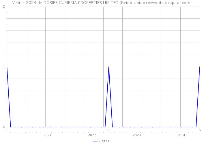 Visitas 2024 de DOBIES CUMBRIA PROPERTIES LIMITED (Reino Unido) 