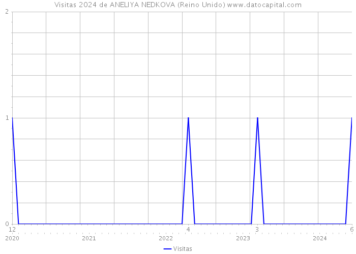 Visitas 2024 de ANELIYA NEDKOVA (Reino Unido) 