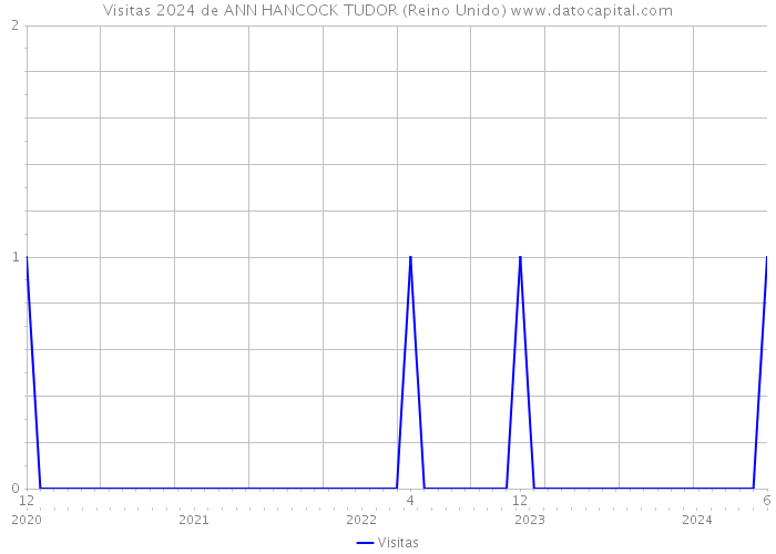 Visitas 2024 de ANN HANCOCK TUDOR (Reino Unido) 