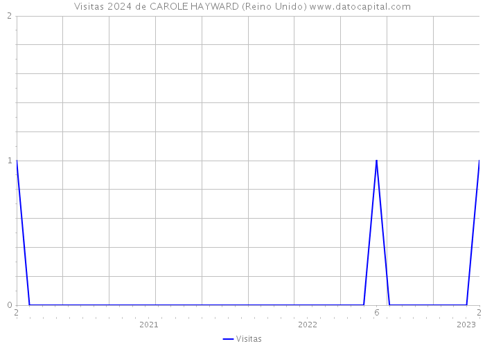 Visitas 2024 de CAROLE HAYWARD (Reino Unido) 