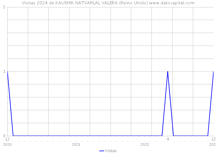 Visitas 2024 de KAUSHIK NATVARLAL VALERA (Reino Unido) 