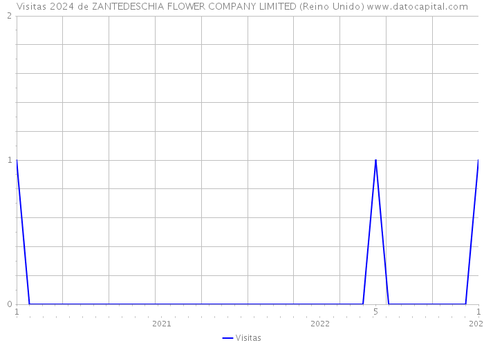 Visitas 2024 de ZANTEDESCHIA FLOWER COMPANY LIMITED (Reino Unido) 